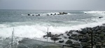 DSC_0608.jpg