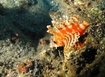 20150606_102108.jpg
