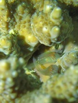 20150917_124209.jpg